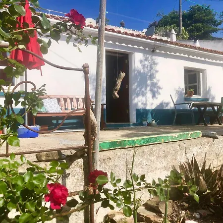 Ferienhaus Casa Anneli - Relaxing Under The Olive Tree